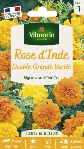 Rose d'Inde Double Grande Variée
